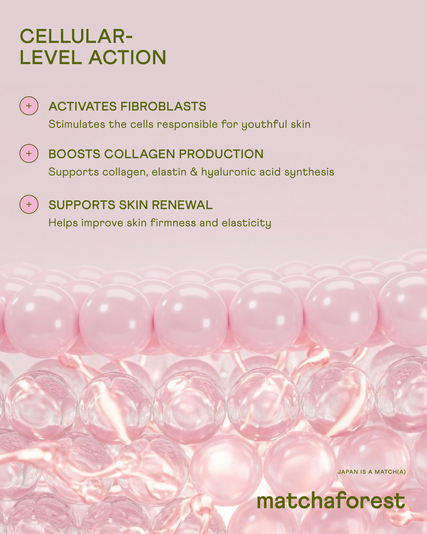Dipeptide Marine Collagen for Skin, Hair & Nails – Made in Japan