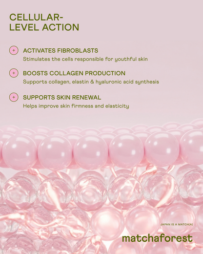 Dipeptide Marine Collagen for Skin, Hair & Nails – Made in Japan